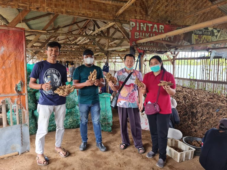 Mengekspor Jahe Ke Luar Negeri