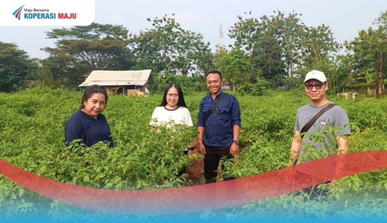 Tim Koperasi Maju bersama Ibu Filiasari Kusuma, owner Central Bawang BSR